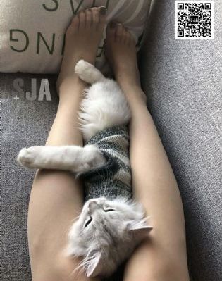 国产精品无码t66y_超清天堂在线