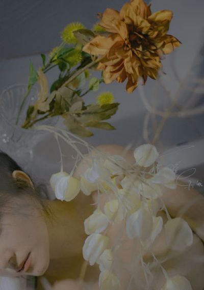 手机看片午夜福利_BD韩语在线观看电视
