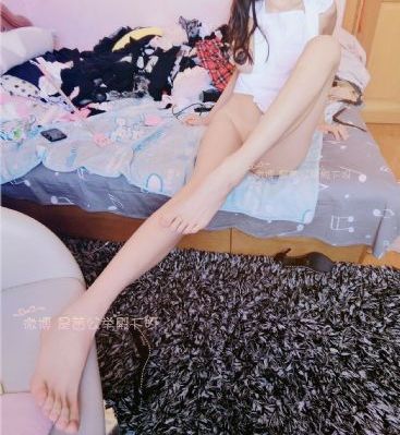 免费领养宠物猫的平台_BD英语免费观看